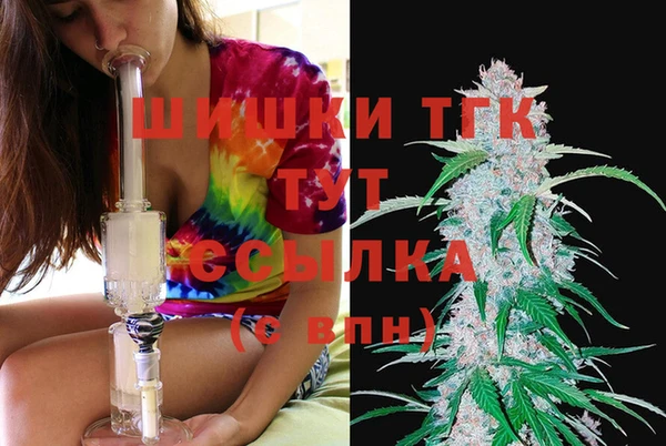 сатива Белокуриха