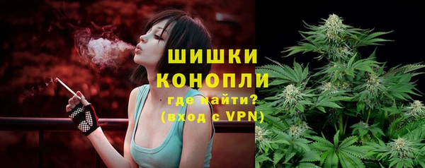 сатива Белокуриха