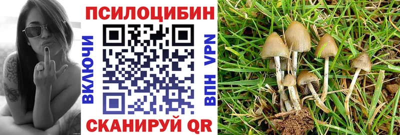 shop формула  OMG онион  Белово  Псилоцибиновые грибы Psilocybe 